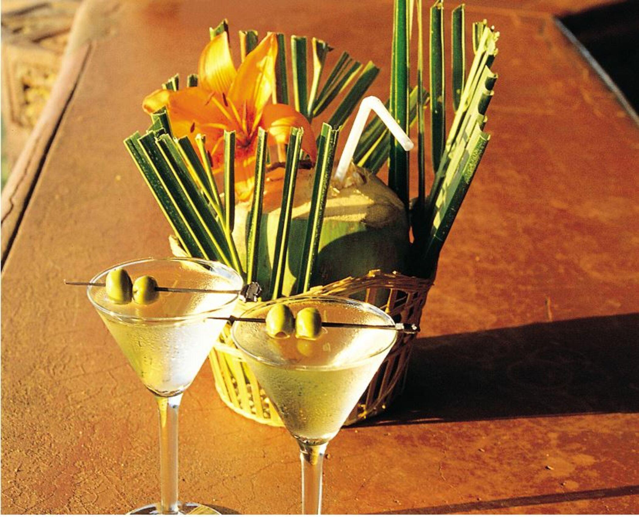 Taj Fort Aguada Resort & Spa, Goa Sinquerim ภายนอก รูปภาพ A dry martini